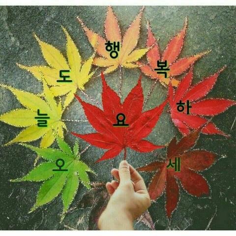 모두행복하세요의 프로필 이미지