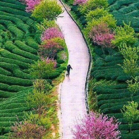 모바일 상품 회원 프로필 이미지