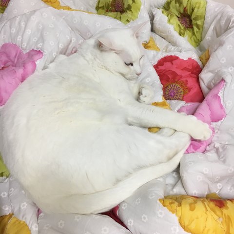모바일 상품 회원 프로필 이미지