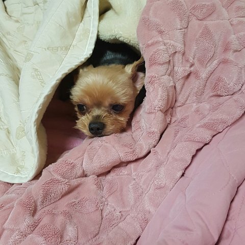 상품 상세 회원 프로필 이미지