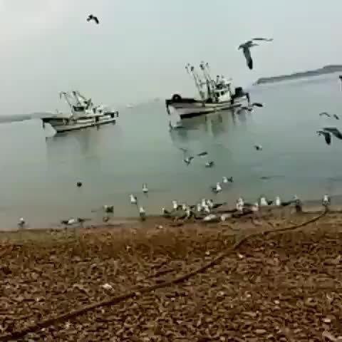 모바일 상품 회원 프로필 이미지