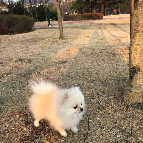 모바일 상품 회원 프로필 이미지