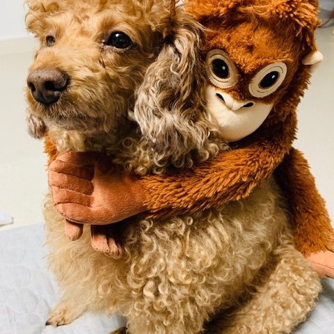 휠타꾼의 프로필 이미지