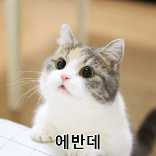 profileImg