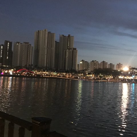 n155166의 프로필 이미지