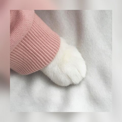 DayApril의 프로필 이미지