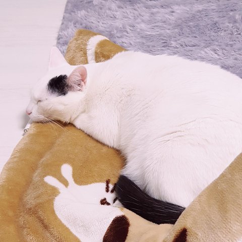 모바일 상품 회원 프로필 이미지