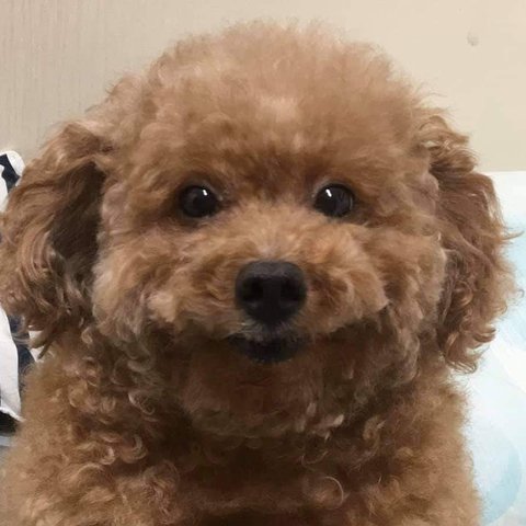 모바일 상품 회원 프로필 이미지