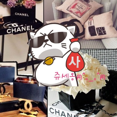품절되고픈냥이의 프로필 이미지