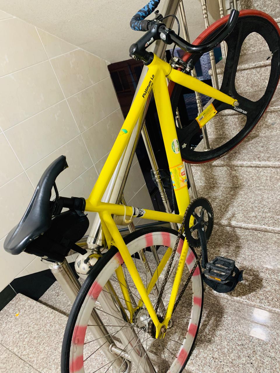 바이큰 플래티넘 로 픽시