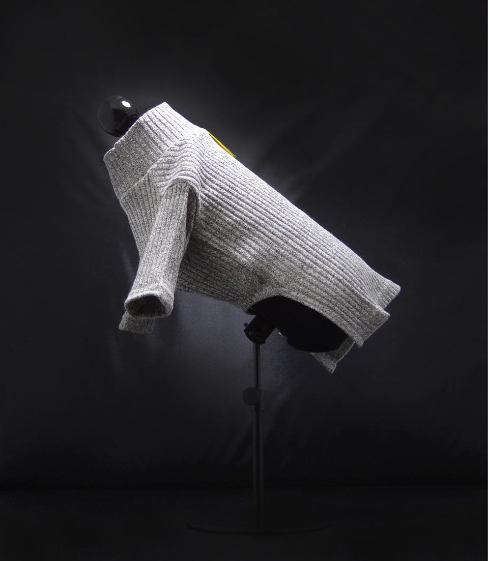 * HECHEC 골지터틀넥니트(3색상) * 강아지니트 강아지겨울옷