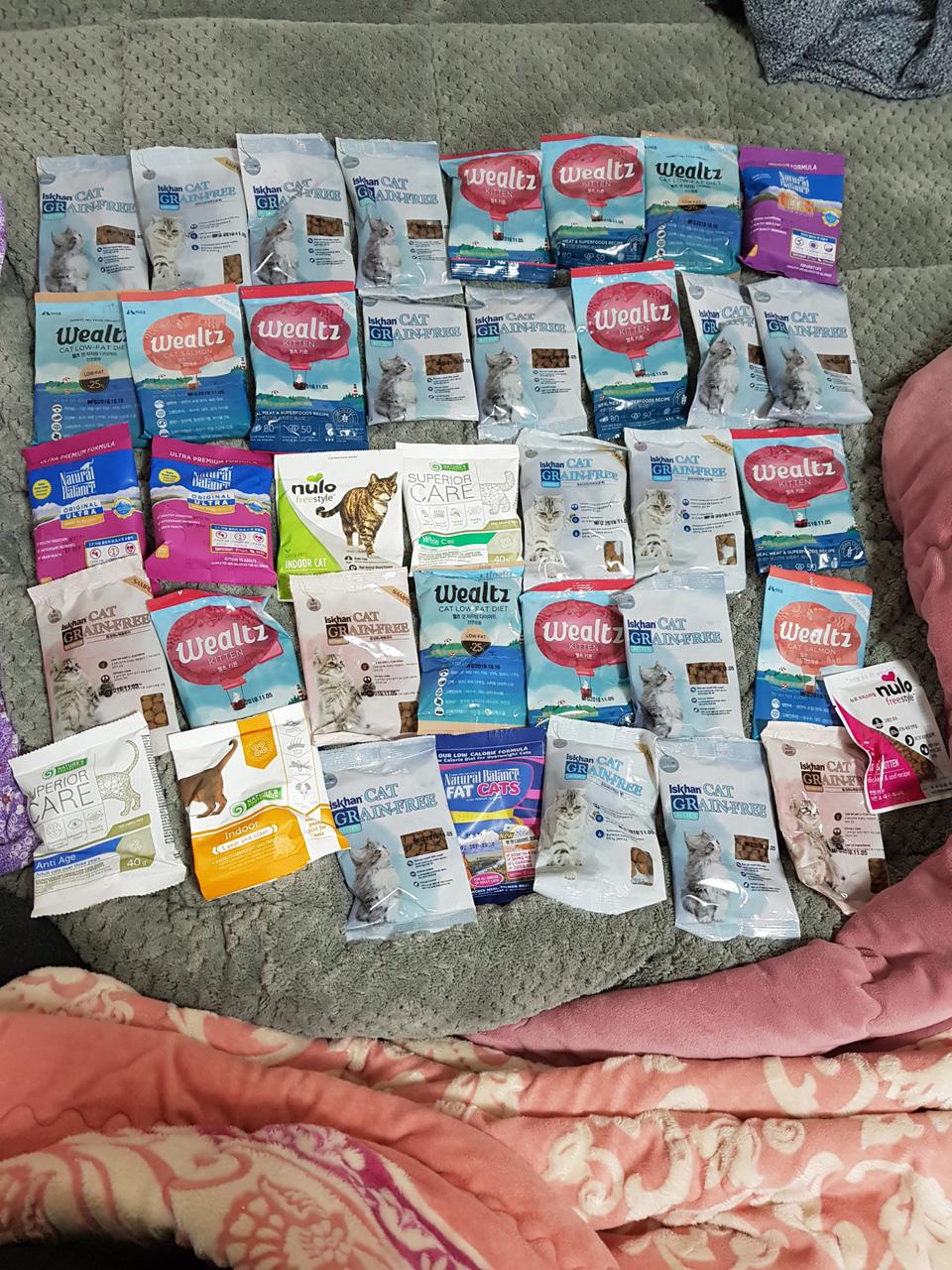 고양이 사료 모두 10000 원