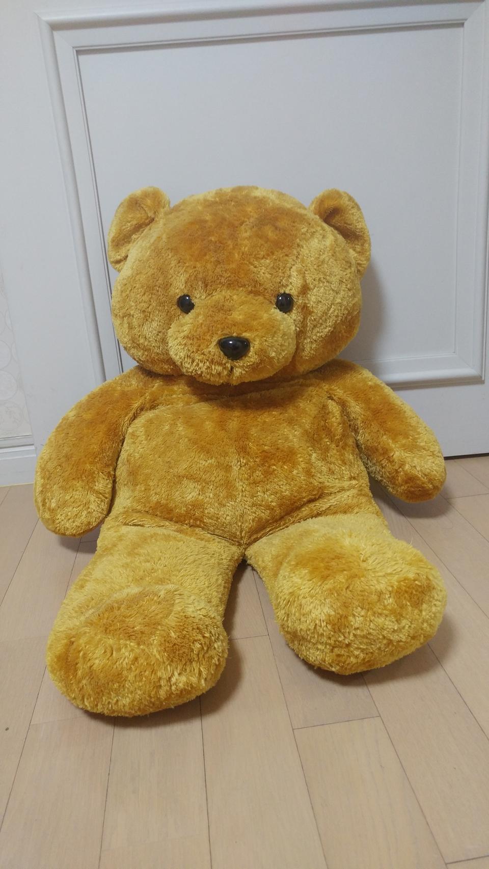 80cm곰인형 판매