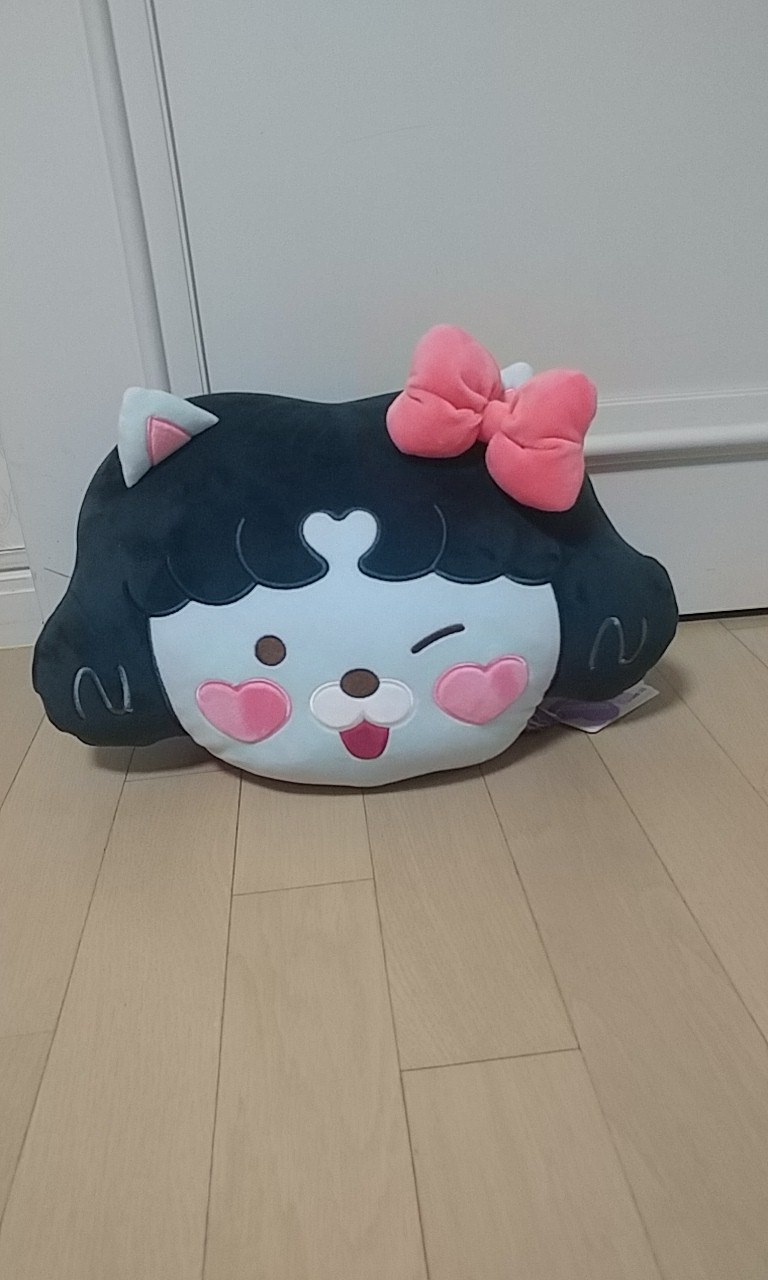 트와이스 에디션 네오인형