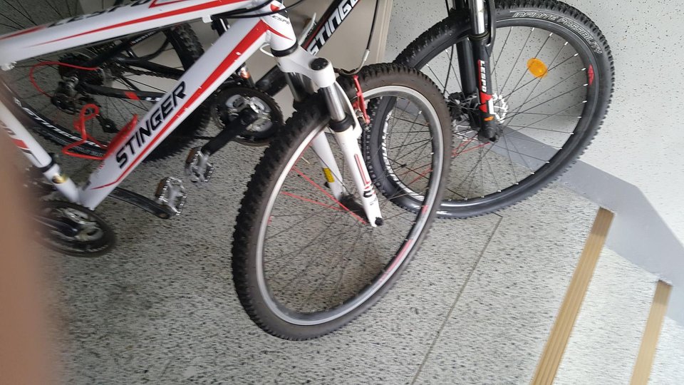 스팅어 자전거 스팅어 자전거