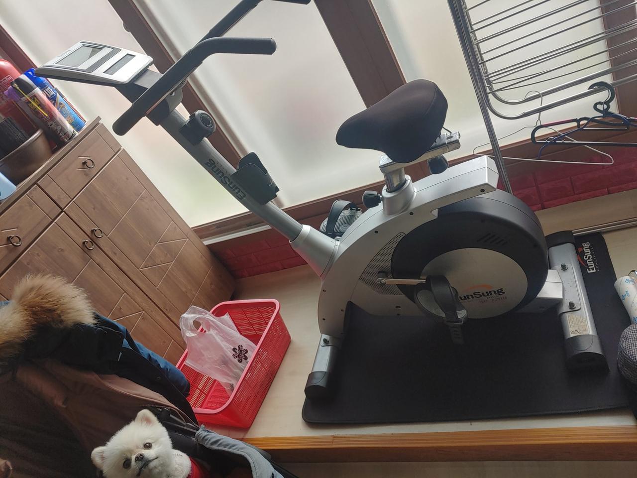 은성 헬스싸이클 sp 7200팝니다 자전거