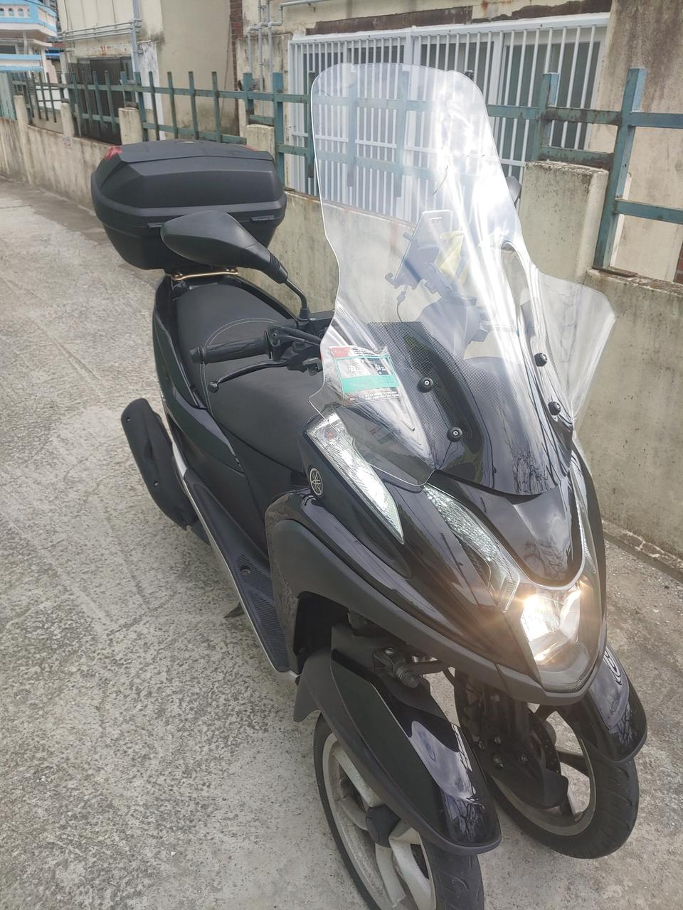 트리시트 125 정식수입 