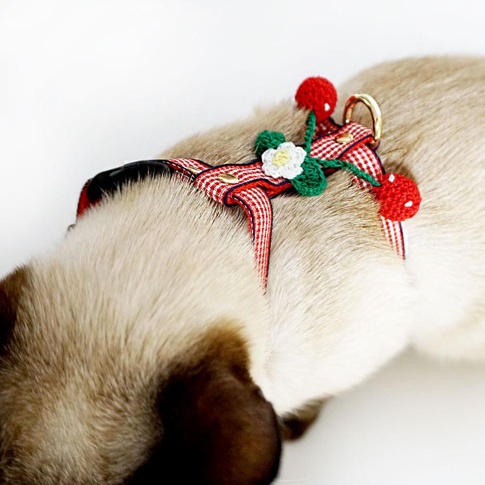 고양이 체리장식 하네스 세트