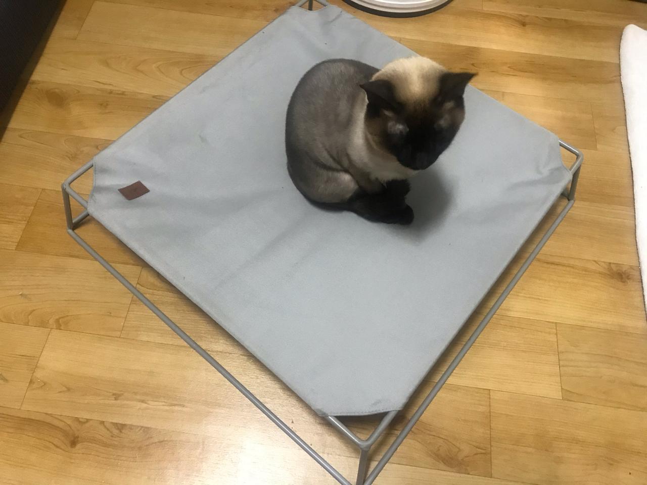 고양이 해먹(가격인하)