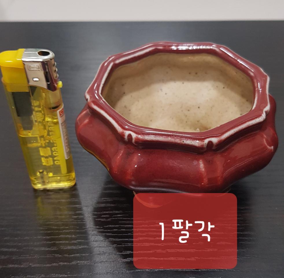 소 화분12개 일괄 상태 좋음