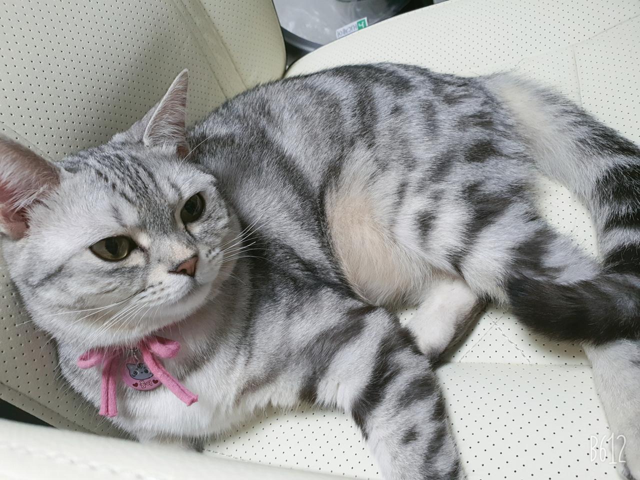 플스4 슬림 500 13만원에 바로 삽니다