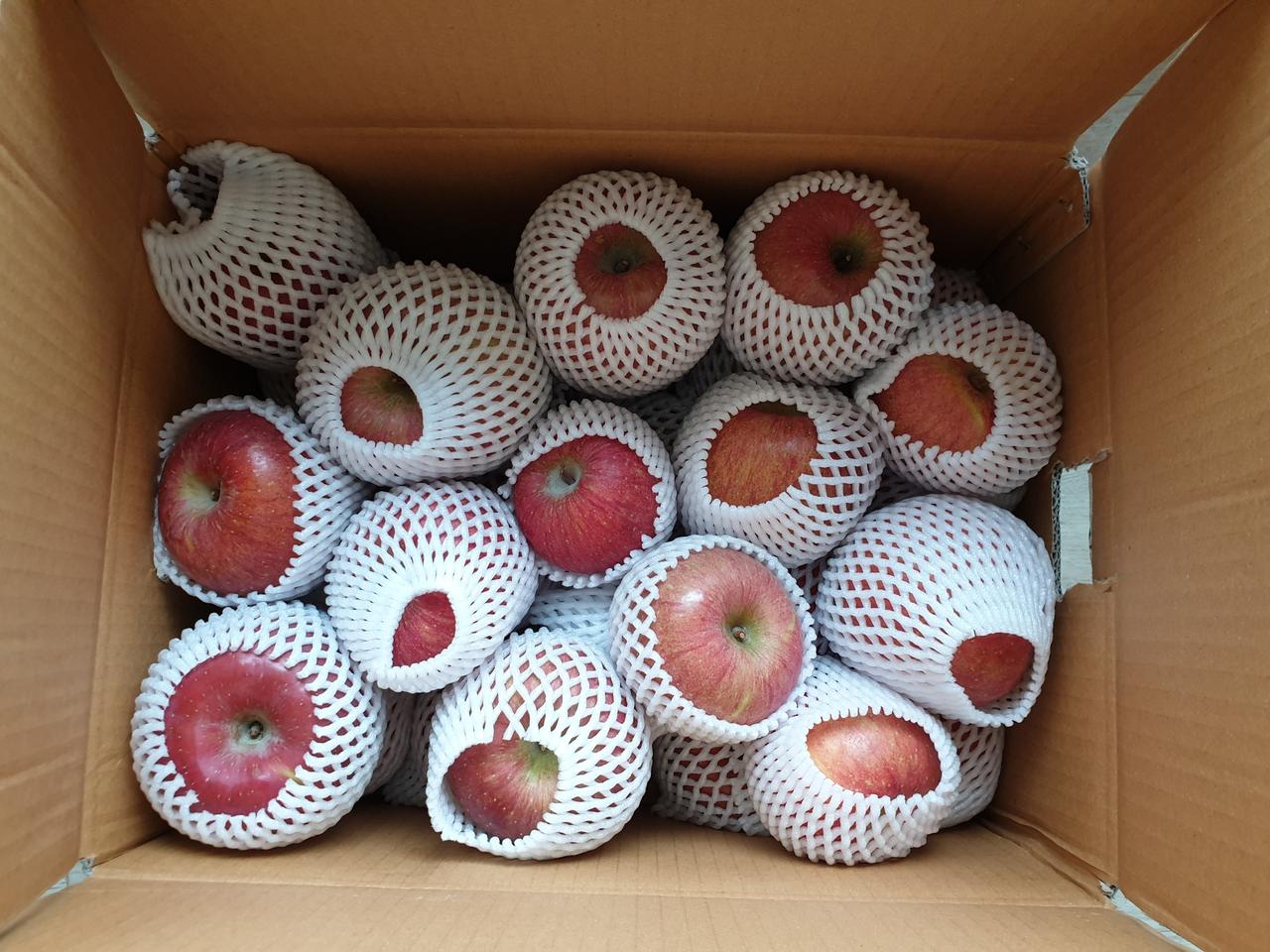 부사 사과 10kg 택포25,000원/사과즙