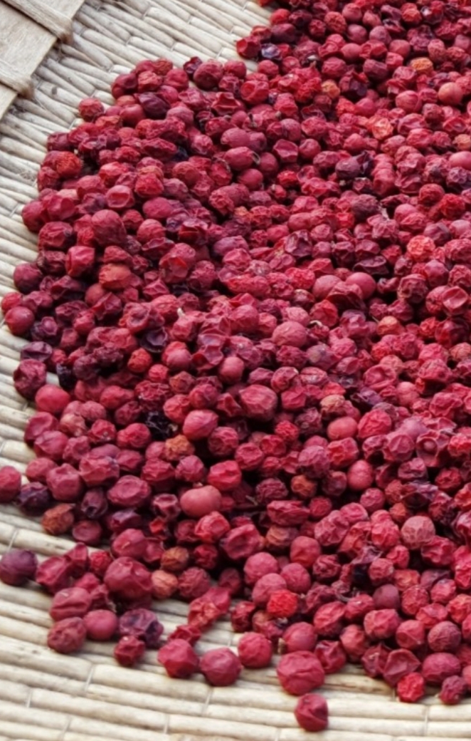 오미자-건오미자 팔아요