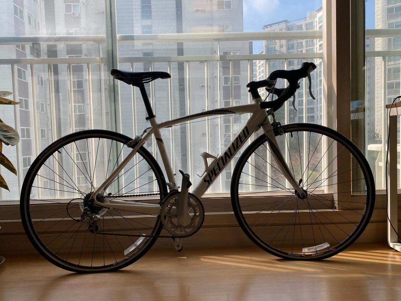 스페셜라이즈드 allez 52  판매합니다.