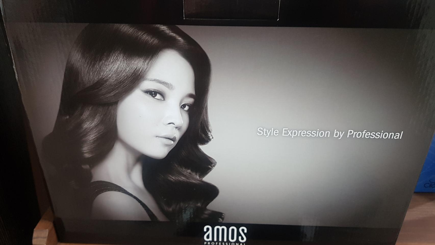 아모스드라이기