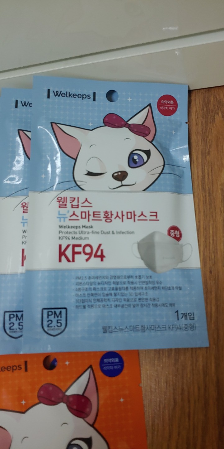 웰킵스 중형 KF94  25EA