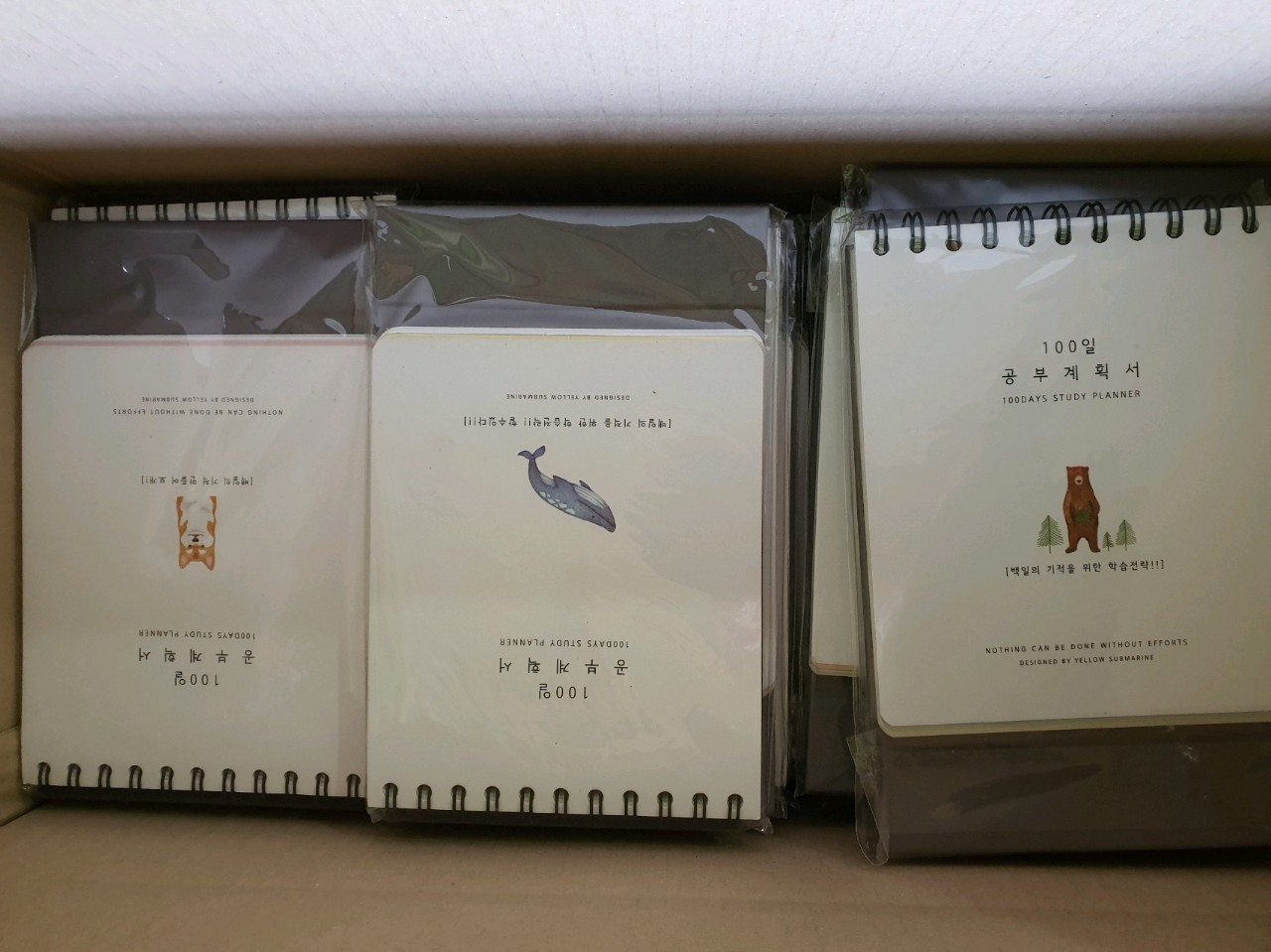 100일 공부계획서 스캐줄러