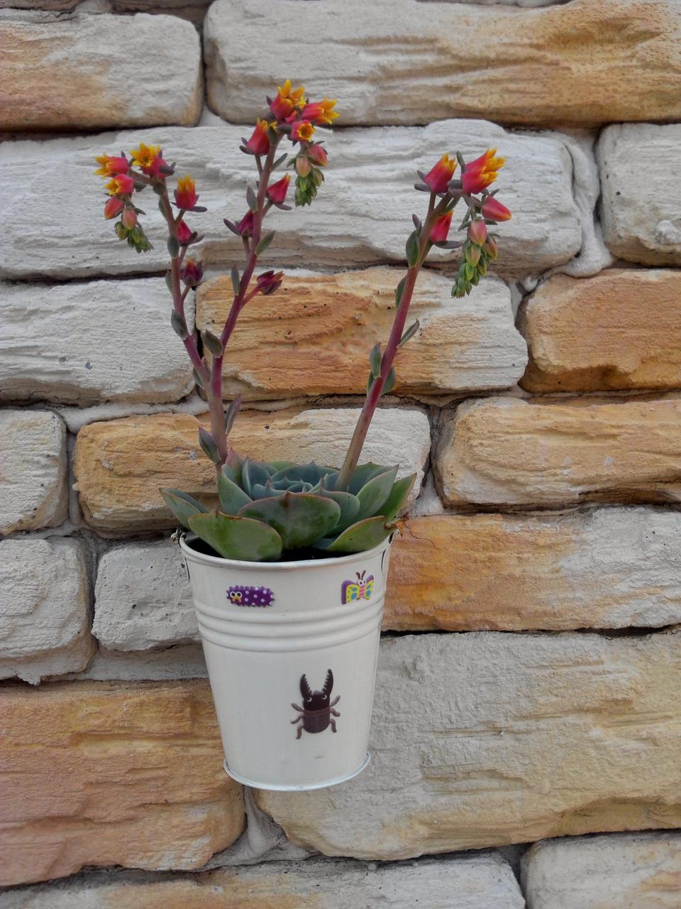 발렌티노 스니커즈