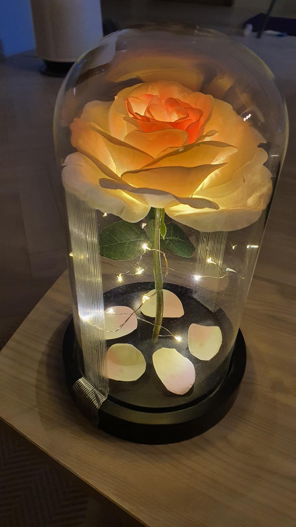 수면등,수유등,미녀와야수등 팔아요