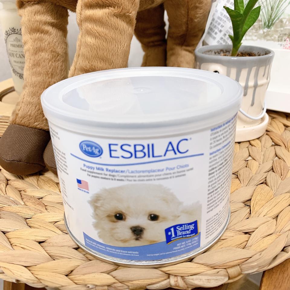 강아지 분유 에스빌락 에스비락 (미개봉)