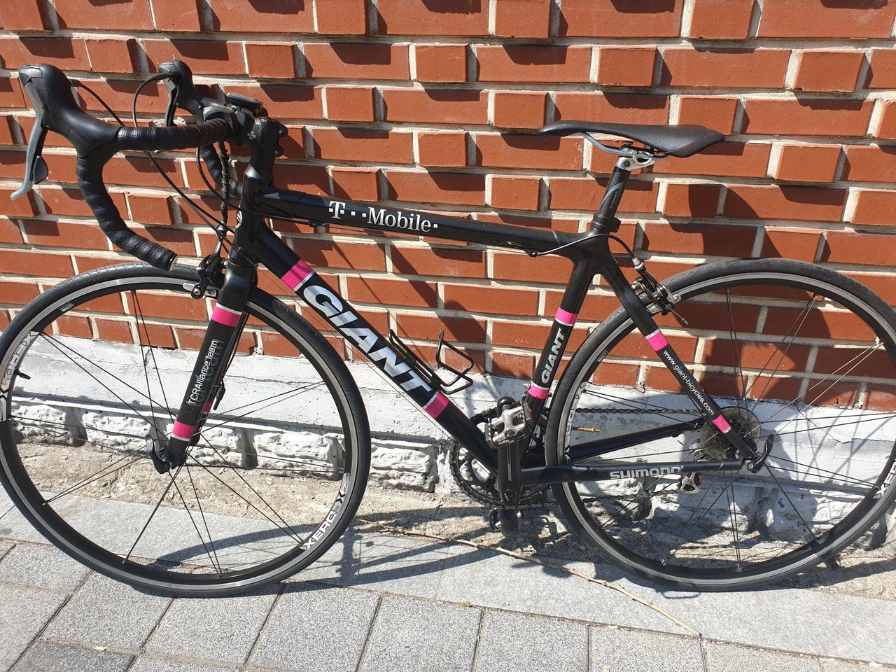 자이언트 카본105