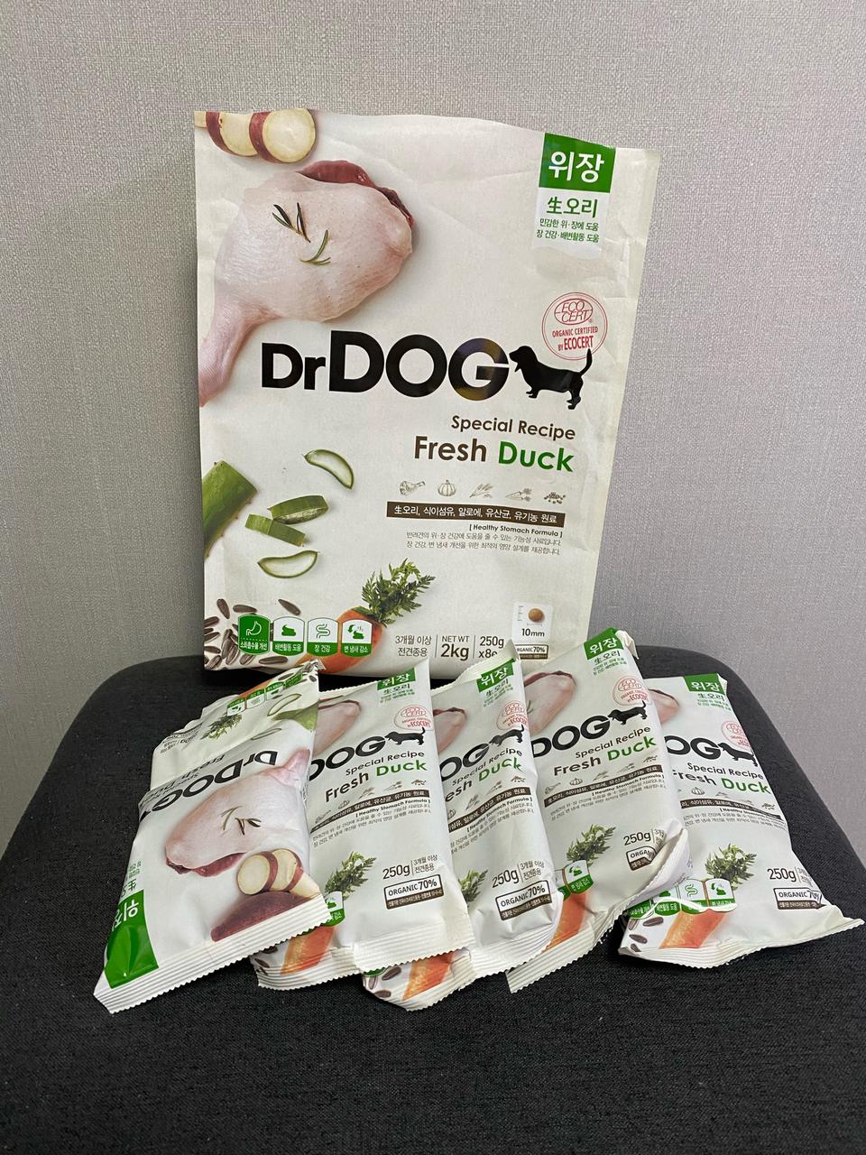 닥터독 위장건강 사료