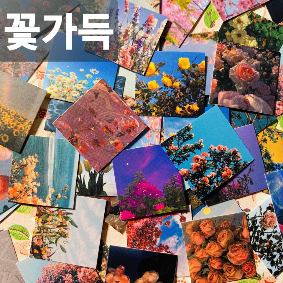 봄감성 꽃 무중복 판컷 50ps❤ 인믹 꽃 다꾸 인스 떡메 레트로