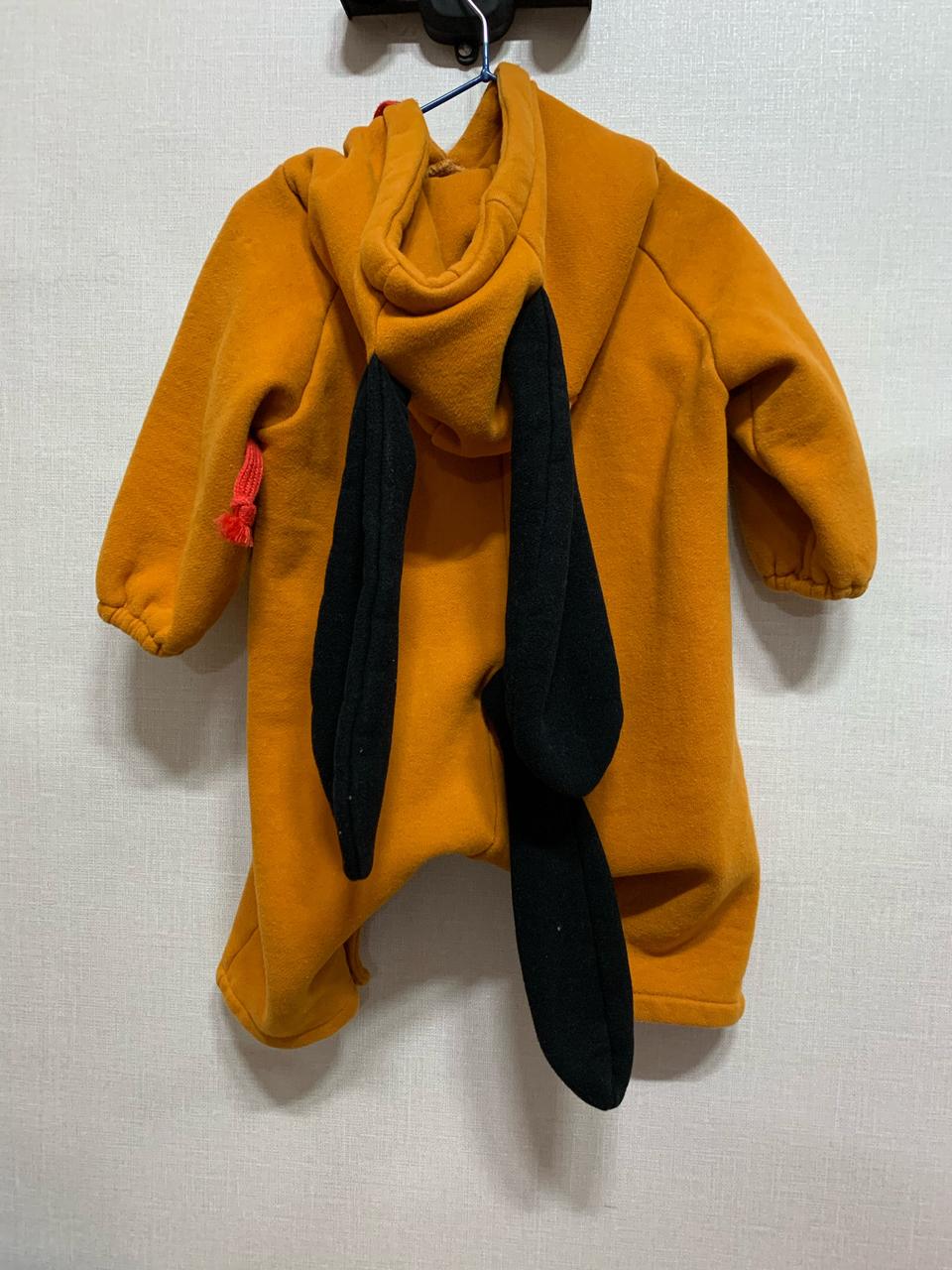 르홍 댕댕이슈트