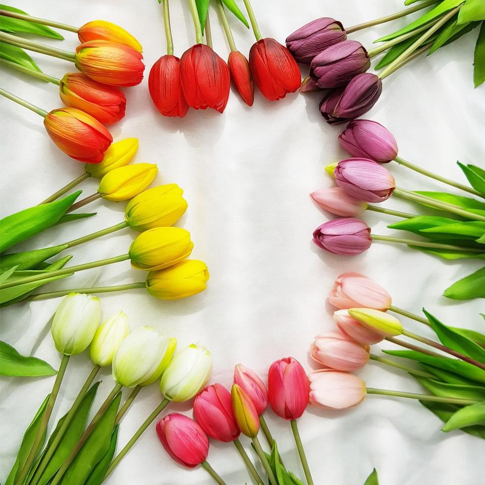 최애템 튤립조화 인테리어소품 추천 2가지 컬러 믹스