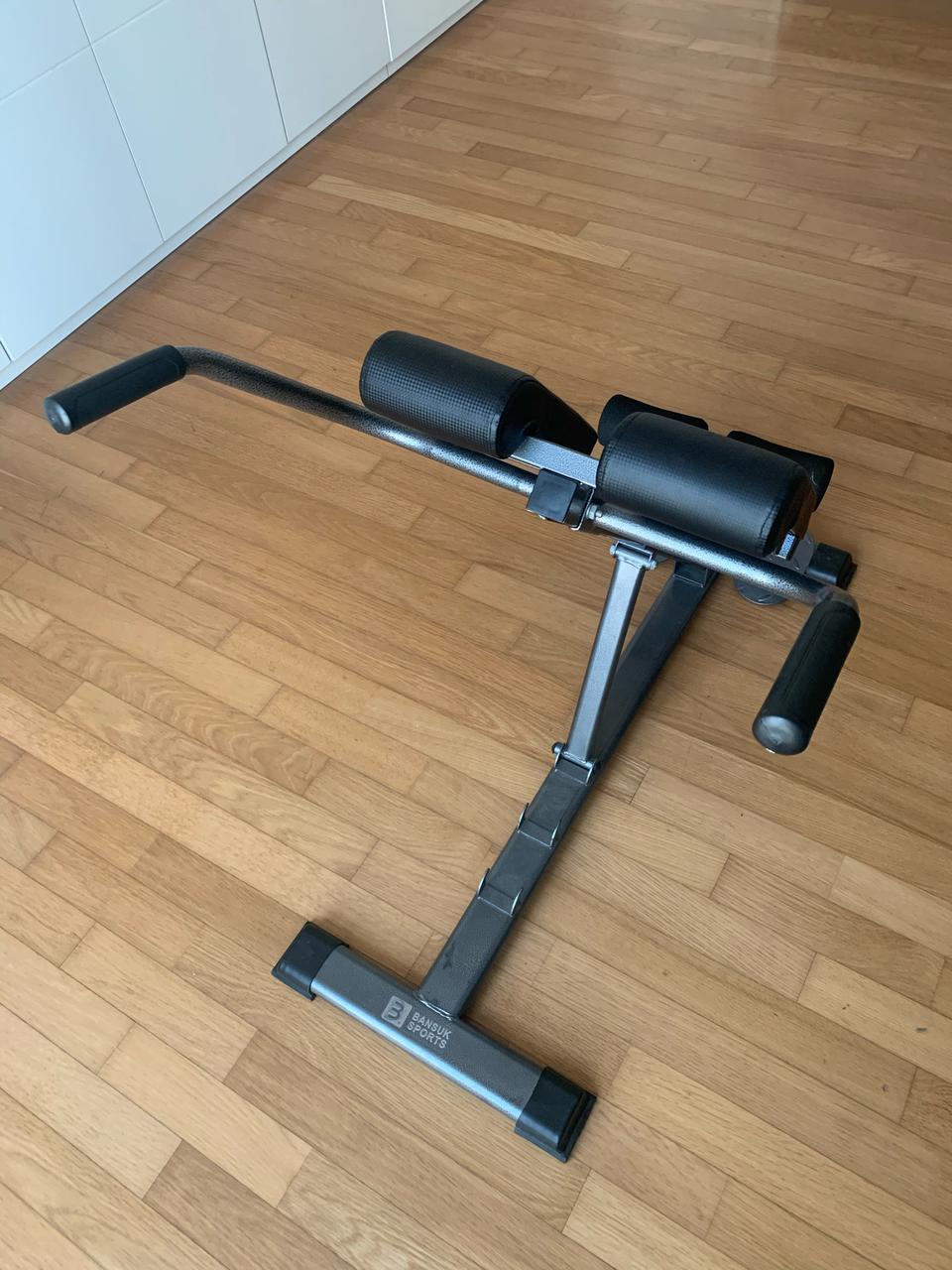 백익스텐션운동기구