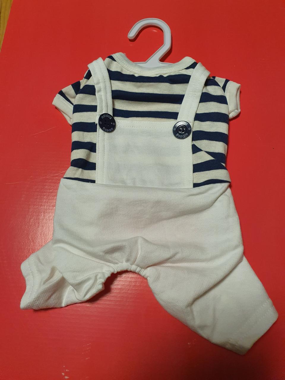 귀여운 강아지옷 팔아요