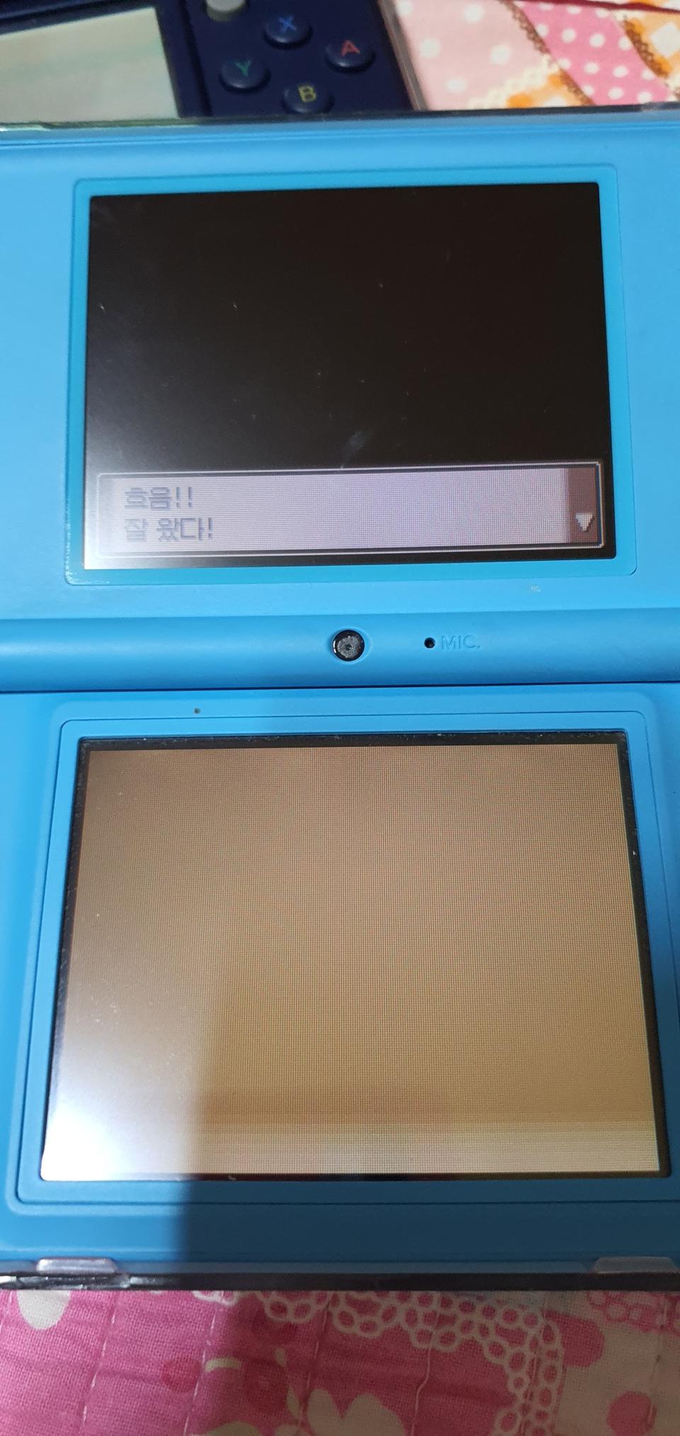 닌텐도ds(예약상품)