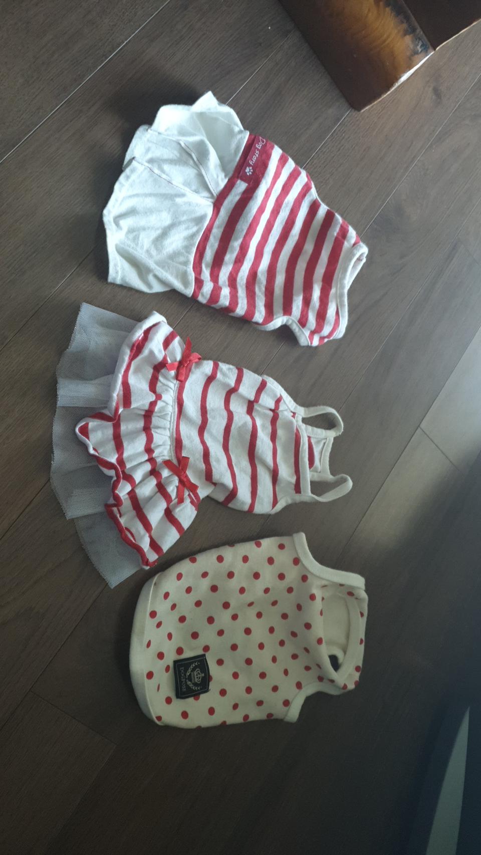 여름용 애견옷 S 샤쥬