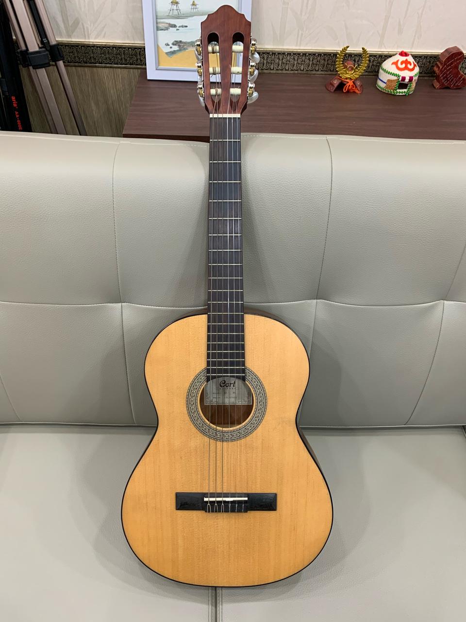 cort 38인치 통키타 판매