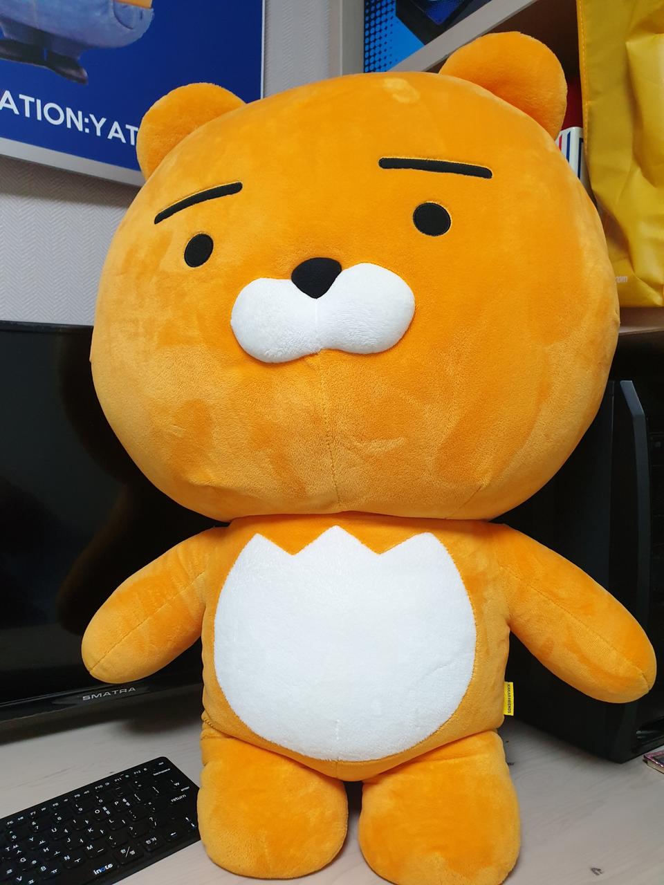 카카오프렌즈 라이언 인형 대 중 소