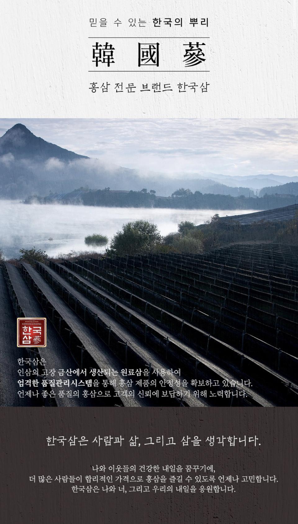 [어버이날특가]1+1한국삼 홍삼정 데일리스틱 선물용