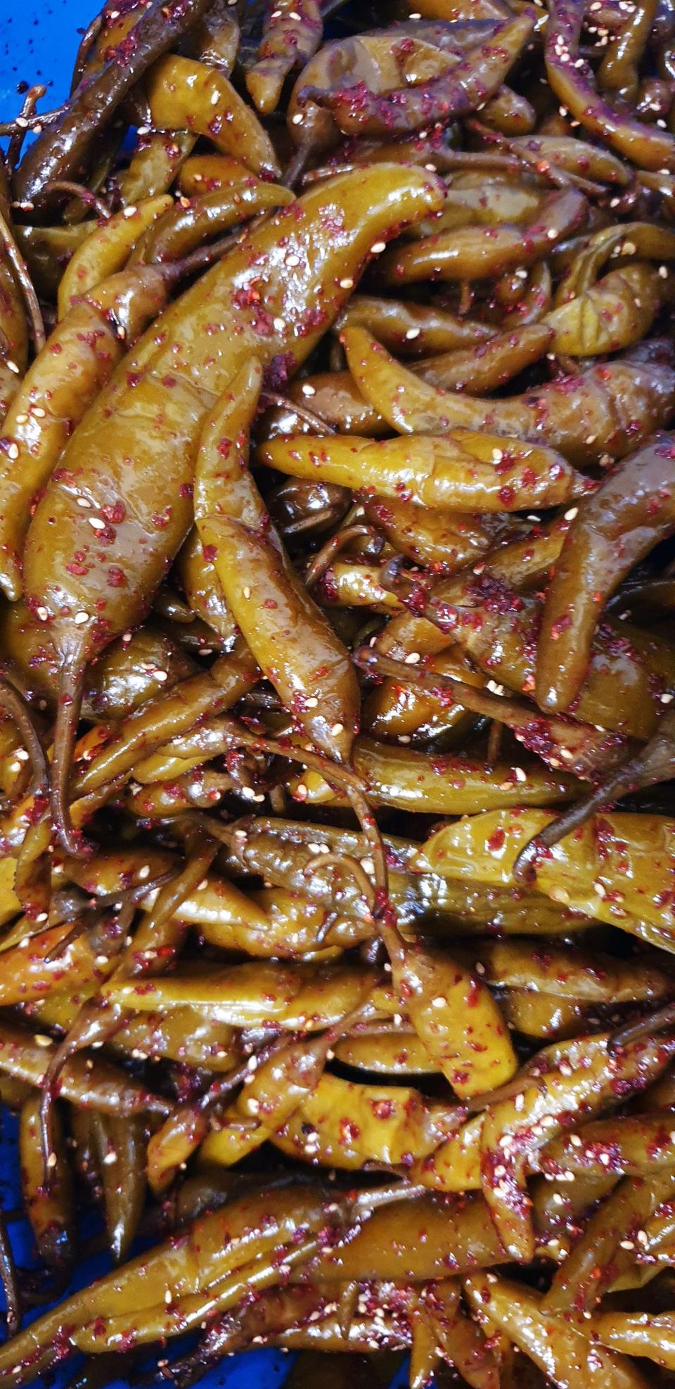 할인)직접농사지어  삭힌  고추장아찌무침1kg10000원에  드립니다