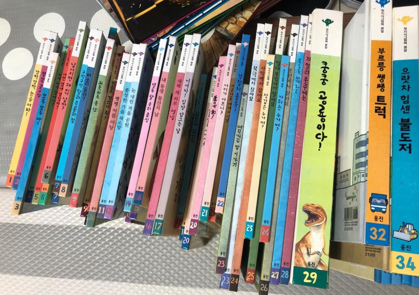 웅진 첫그림지식책 콩알