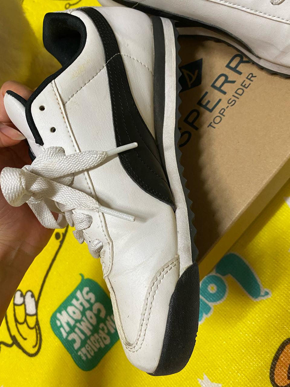 푸마 로마 베이직