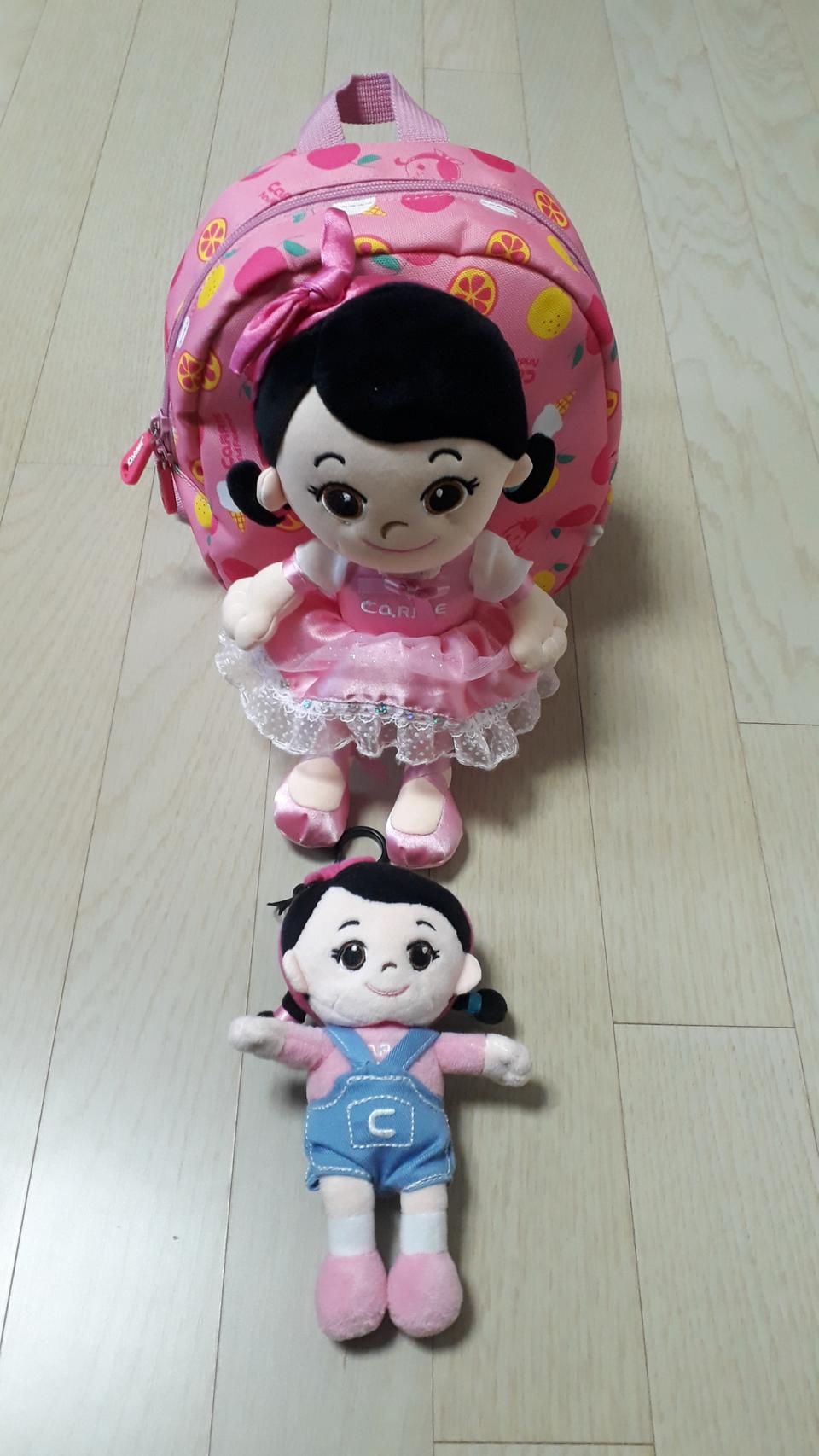 캐리미아방지가방